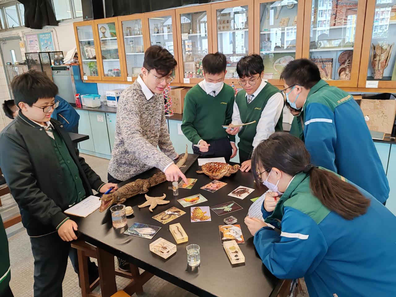 老師在教授分類學